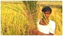 Natural Resource Management 