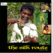 The Silk Root