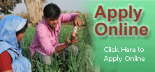 Apply Online Apply Online