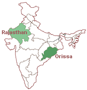 PPRADAN is promoting goat rearing programmes extensively in Rajasthan and Orissa.
