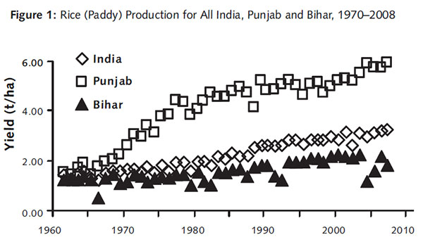 Rice-Production