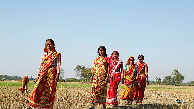 Nari Adalat: A Beacon for Women in Distress | Sampark.Net – The ...