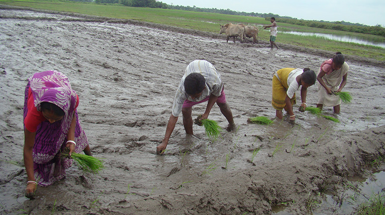 How-to-double-farmers'-incomes