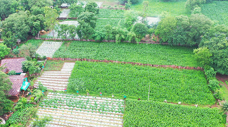 Alwa-Village-Homestead-An-Ariel-View