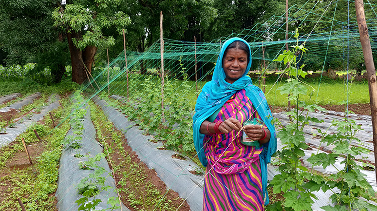 Asmati-Didi,-Hiramdeyi-SHG,-working-on-her-homestead