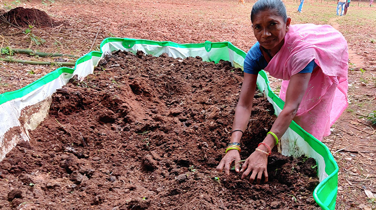 Preparation-of-vermicompost