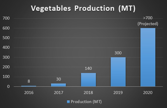 Vegetables-production