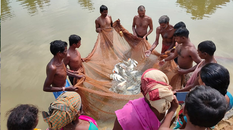 Netting-and-Growth-mapping-in-Pond-of-Sunti-Bai---PC-Anurag-Kumar