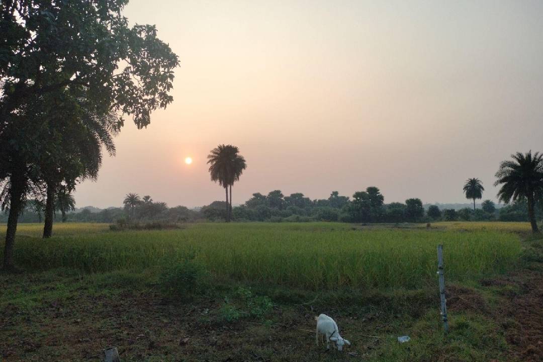 Sundrafalan from Ishita’s lens