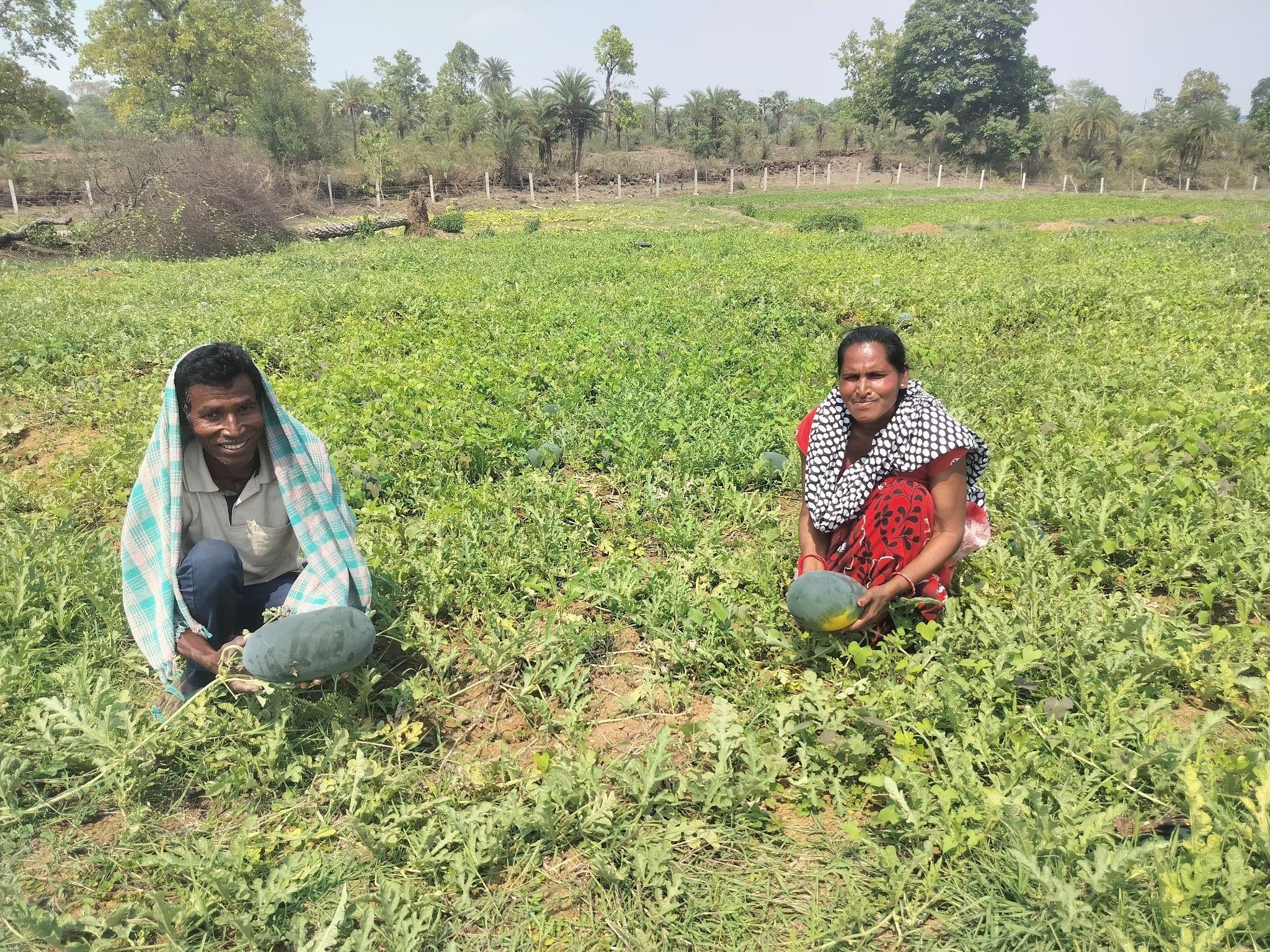 working-in-their-field
