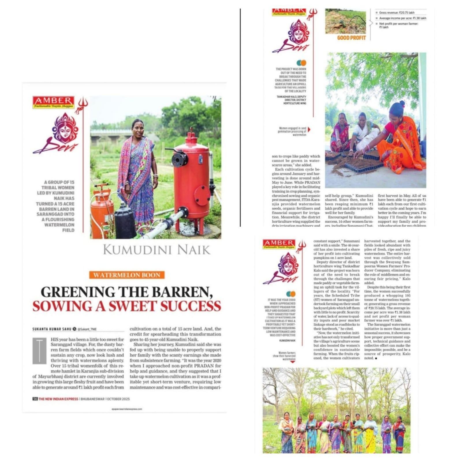 Snippet-of-an-article