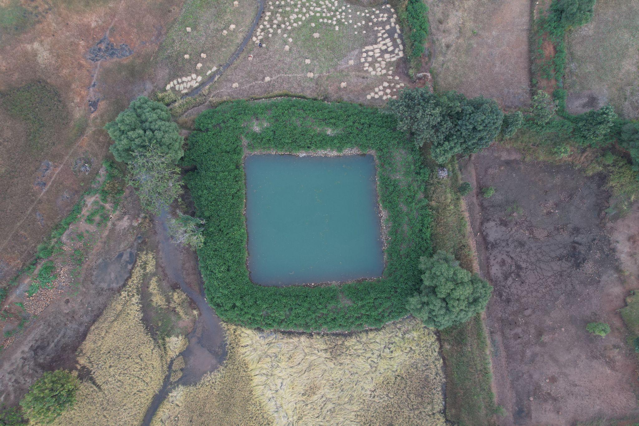 A-farm-pond