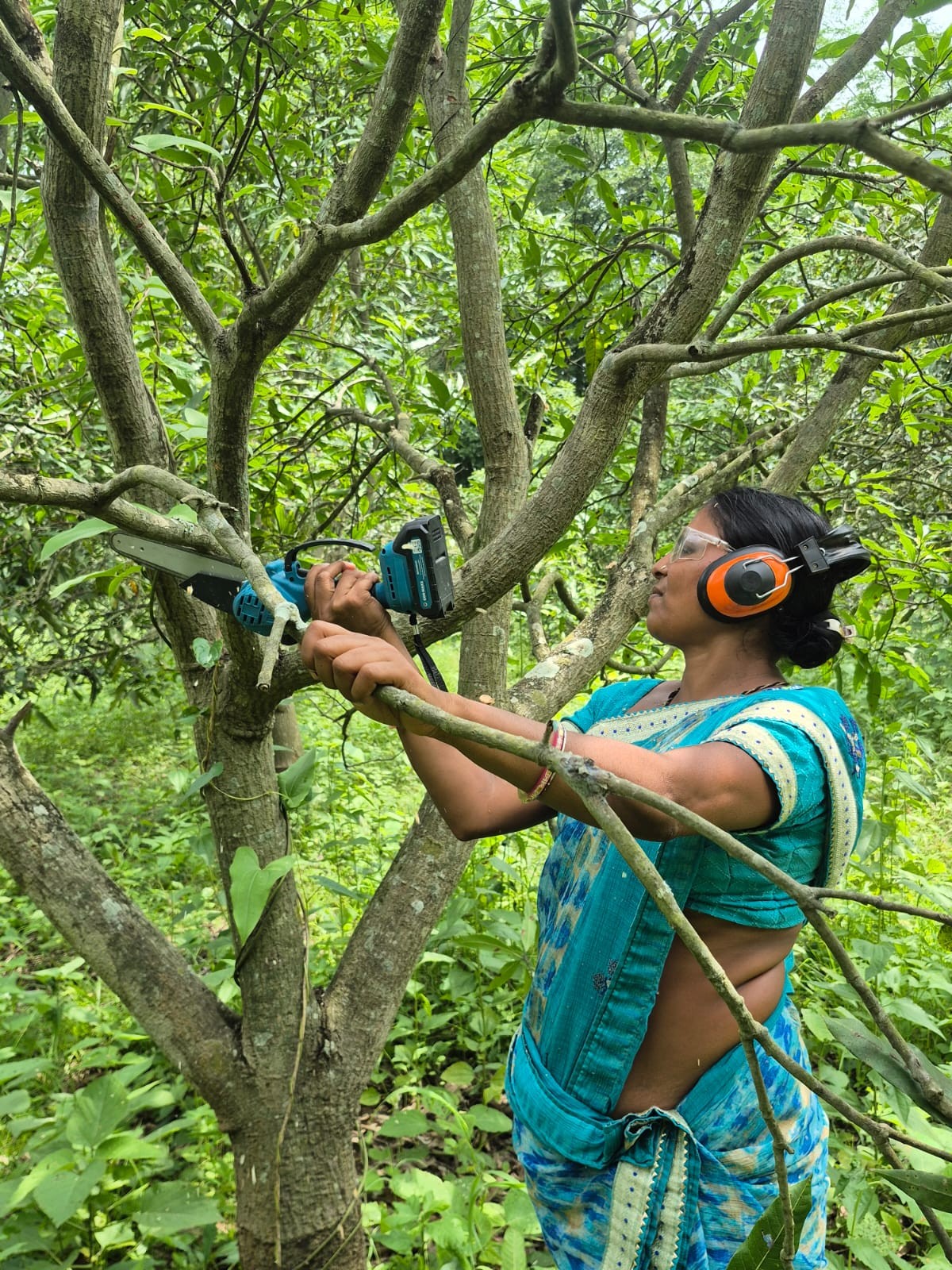 pruning
