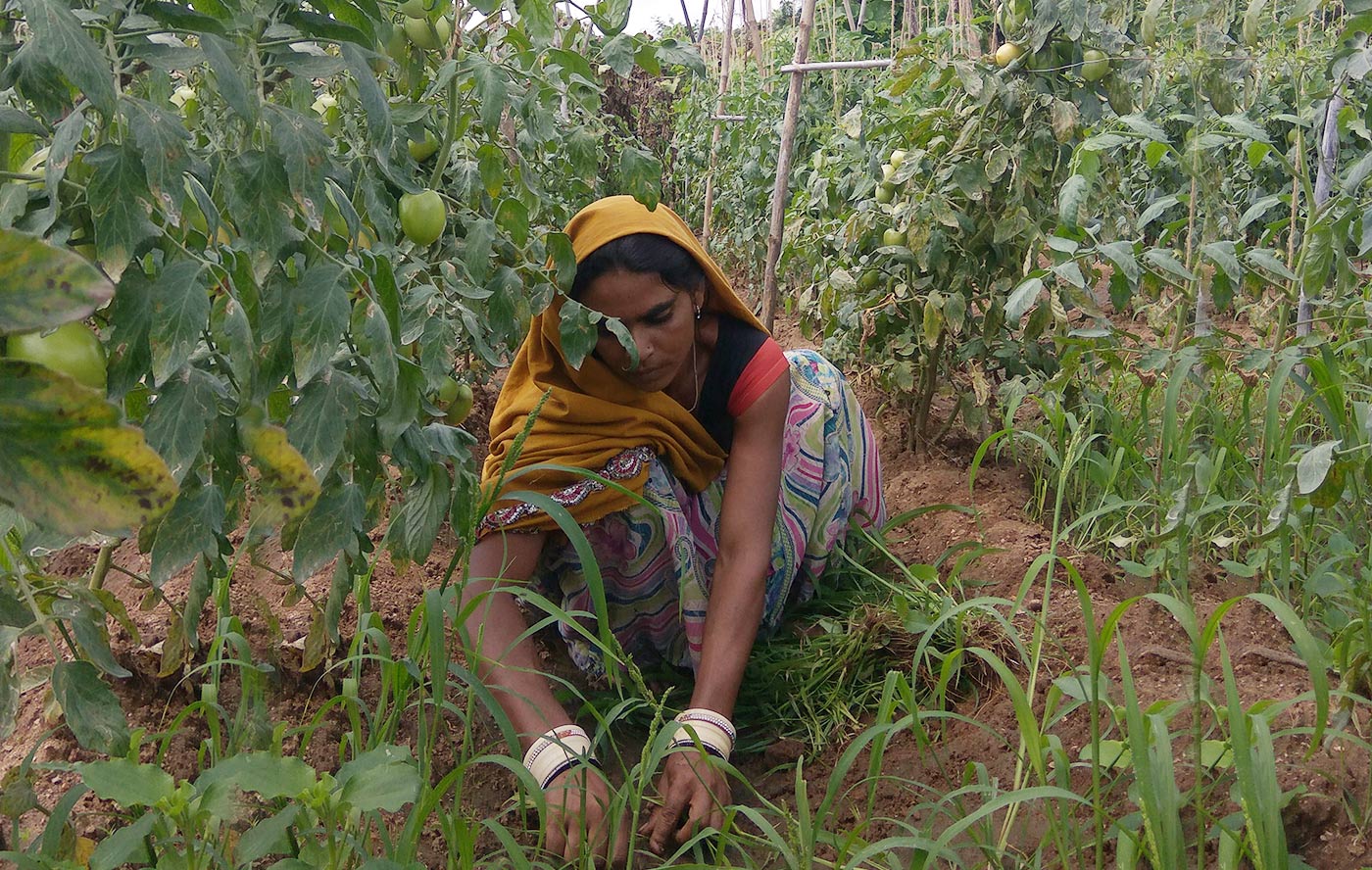 Pradan-from-sustenance-to-spreading-her-wings