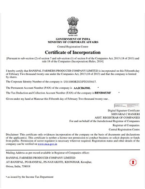 Certificate-of-incorporation2