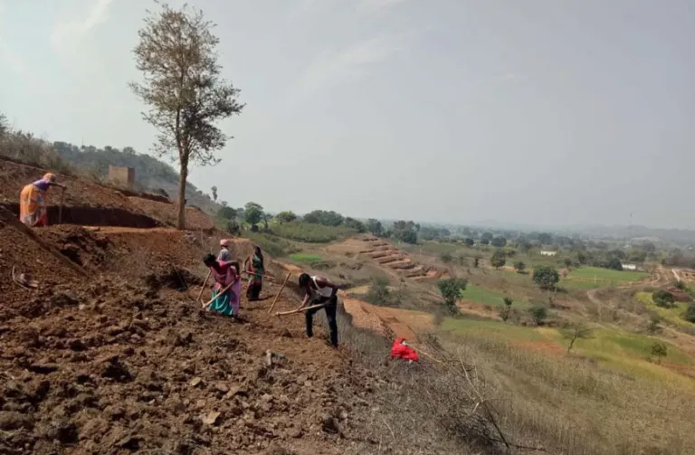 Screenshot 2023-02-24 at 12-11-21 Parijat-Ghosh-Chataniha-Gond-Village-terracing-under-way.jpg (WEBP Image 768 × 503 pixels)