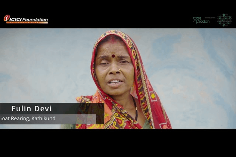 Silage Production - project 'AssET' an ICICI Foundation for Inclusive Growth and PRADAN initiative