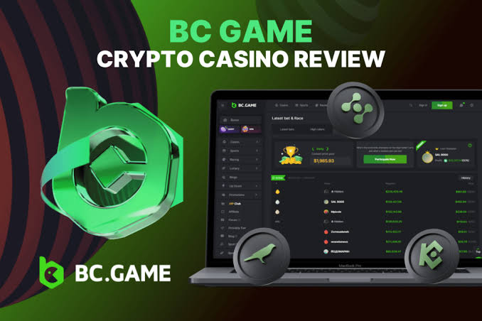 Experience Excitement with the BC.Game Plinko App -221256276